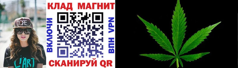 Хочу наркоту Кизел ГАШ  ГЕРОИН  Псилоцибиновые грибы  МАРИХУАНА  Мефедрон  A-PVP 