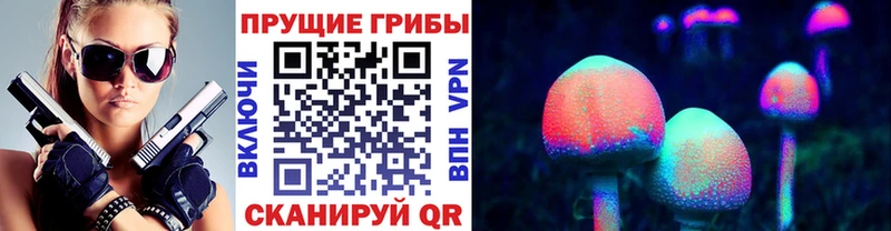 Галлюциногенные грибы Psilocybine cubensis  Кизел 